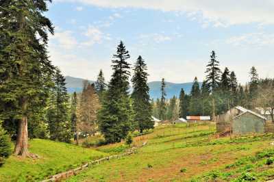 Sakarca Yaylası